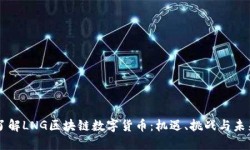 深入了解LNG区块链数字货币:机遇、挑战与未来展望