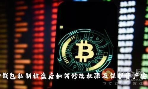 TP钱包私钥被盗后如何修改权限及保护资产安全