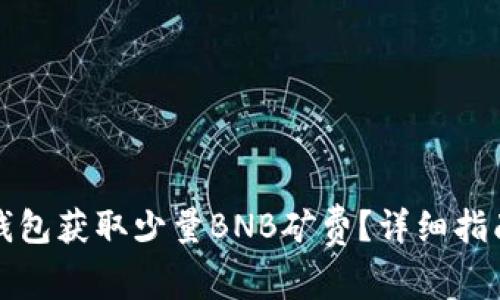 如何通过TP钱包获取少量BNB矿费?详细指南与实用技巧