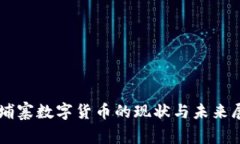 柬埔寨数字货币的现状与未来展望