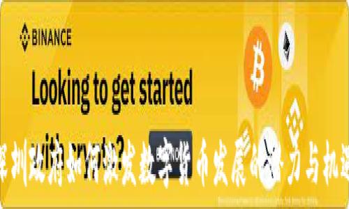 深圳政府如何激发数字货币发展的潜力与机遇