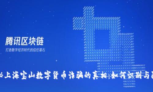 揭秘上海宝山数字货币诈骗的真相:如何识别与防范