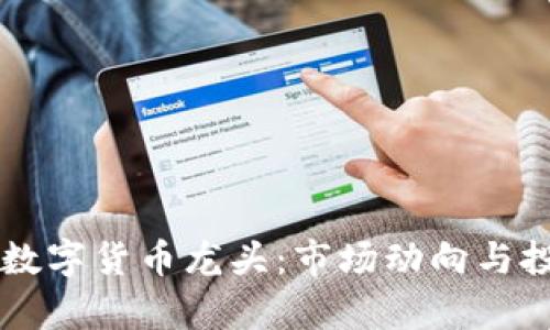 新资金涌入数字货币龙头:市场动向与投资机会分析