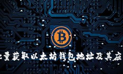 如何批量获取以太坊钱包地址及其应用解析