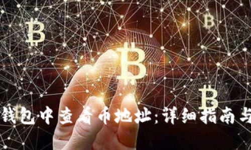 如何在TP钱包中查看币地址:详细指南与实用技巧