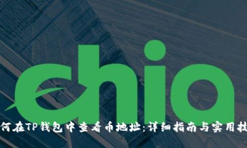 如何在TP钱包中查看币地址:详细指南与实用技巧