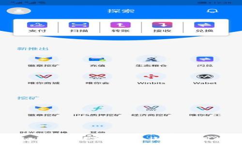 Vidyx币能否转至TP钱包:详解与实用指南