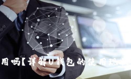 U钱包还能用吗?详解U钱包的使用现状与未来发展