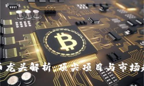 数字货币龙头解析:顶尖项目与市场趋势分析
