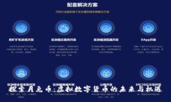 探索月兔币：虚拟数字货币的未来与机