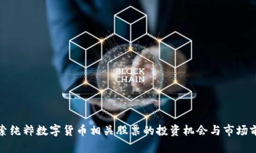 探索纯粹数字货币相关股票的投资机会与市场前景