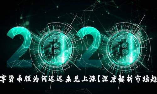 数字货币股为何迟迟未见上涨?深度解析市场趋势