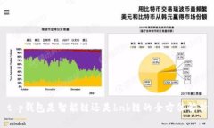 t p钱包是智能链还是bnb链的全方位解析