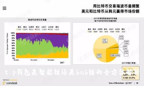 t p钱包是智能链还是bnb链的全方位解析