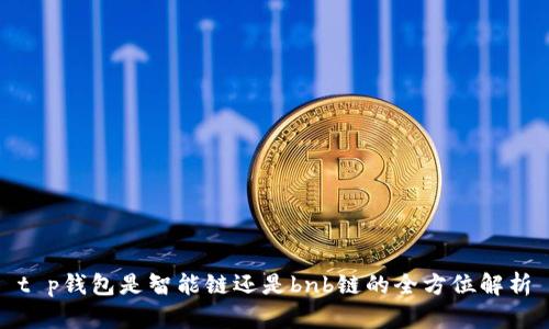t p钱包是智能链还是bnb链的全方位解析
