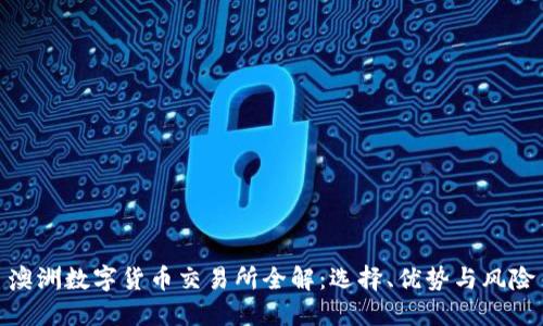 澳洲数字货币交易所全解:选择、优势与风险