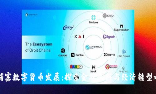 柬埔寨数字货币发展:探索金融创新与经济转型之路