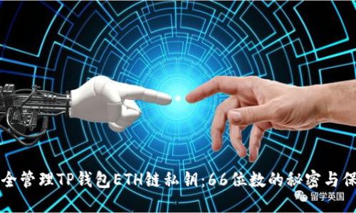 如何安全管理TP钱包ETH链私钥:66位数的秘密与保护方法