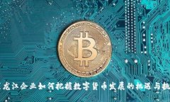 黑龙江企业如何把握数字货币发展的机