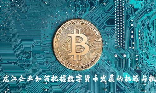 黑龙江企业如何把握数字货币发展的机遇与挑战