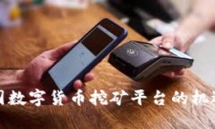探索韩国数字货币挖矿平台的机遇与挑