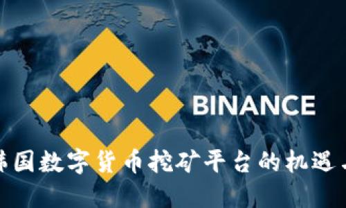 探索韩国数字货币挖矿平台的机遇与挑战
