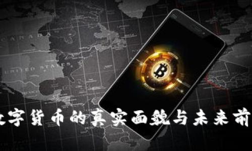 手机数字货币的真实面貌与未来前景解析