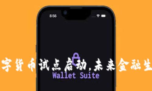 深圳央行数字货币试点启动，未来金融生活的新变革