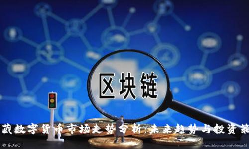 西藏数字货币市场走势分析：未来趋势与投资策略