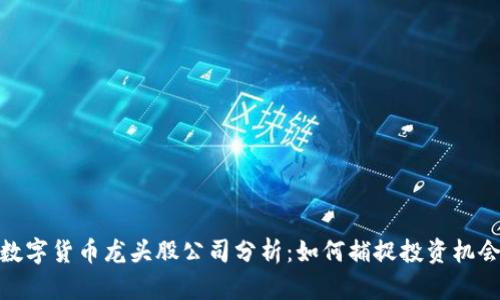 数字货币龙头股公司分析:如何捕捉投资机会