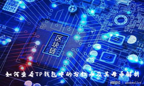 如何查看TP钱包中的分红币及其母币解析