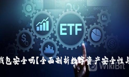 imToken钱包安全吗?全面剖析数字资产安全性与防护标准