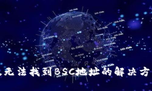 TP钱包电脑版无法找到BSC地址的解决方案与详细指南
