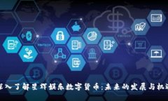 深入了解星辉娱乐数字货币：未来的发