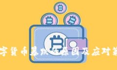 虚拟数字货币暴跌的原因及应对策略分