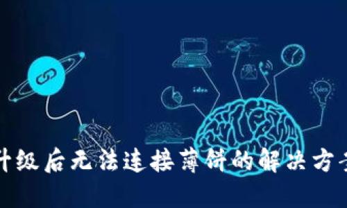 TP钱包升级后无法连接薄饼的解决方案与指导