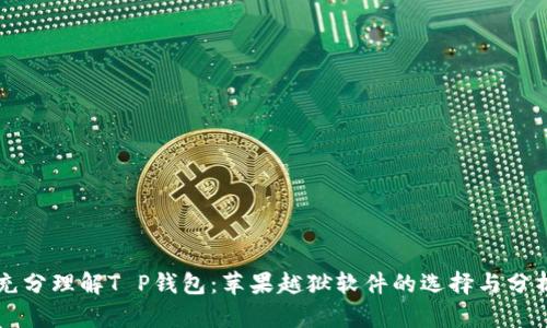 充分理解T P钱包：苹果越狱软件的选择与分析