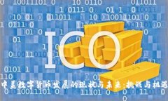 中美数字货币发展的现状与未来：挑战