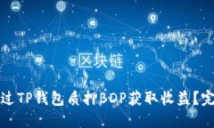 如何通过TP钱包质押BDP获取收益？完整