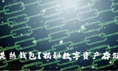 TP钱包是冷钱包还是热钱包？揭秘数字资产存储的安全性与便捷性