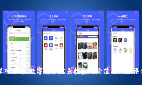 深入分析：数字货币鱿鱼投资的价值与风险评估