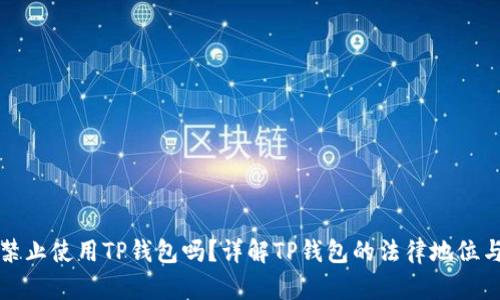 中国禁止使用TP钱包吗？详解TP钱包的法律地位与影响