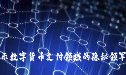 揭示数字货币支付领域的隐秘领军者