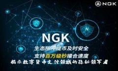 揭示数字货币支付领域的隐秘领军者