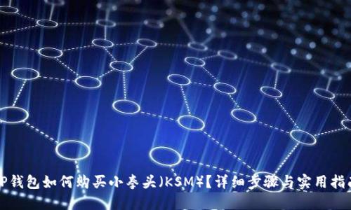 TP钱包如何购买小拳头(KSM)?详细步骤与实用指南