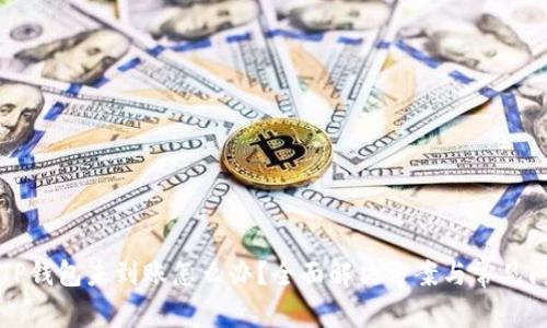 提币到TP钱包未到账怎么办？全面解决方案与常见问题解析