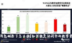 TP钱包删除了怎么办？如何恢复访问你