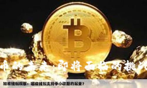 数字货币的未来：即将面临的挑战与机遇