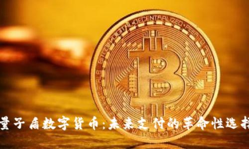 量子盾数字货币:未来支付的革命性选择