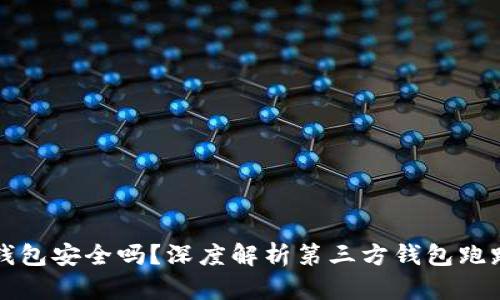 第三方钱包安全吗？深度解析第三方钱包跑路的风险